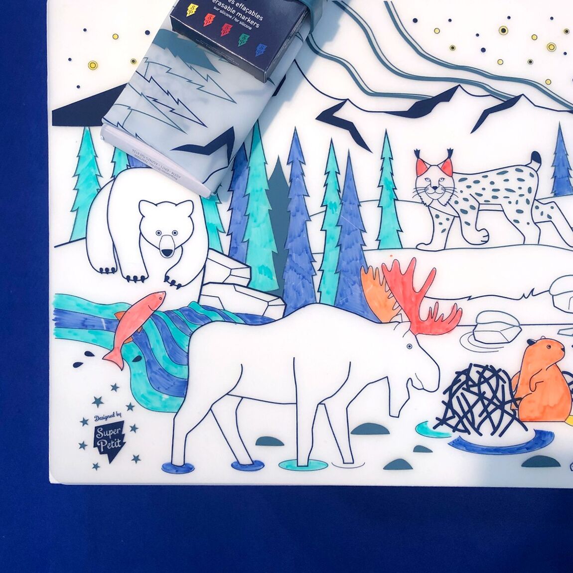 Coloriage éducatif : FAUNE BOREALE