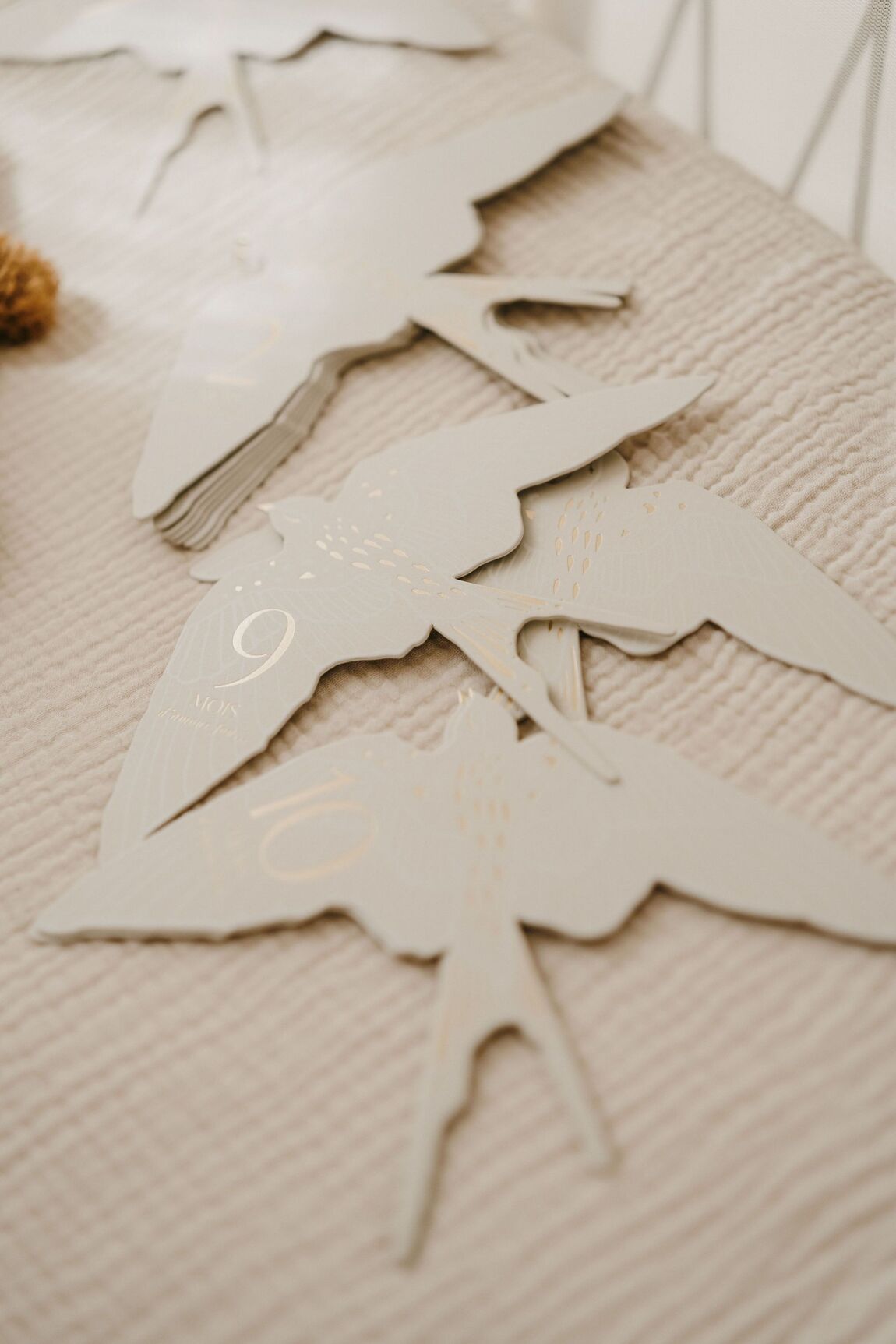 Coffret de 12 cartes étapes - Birds