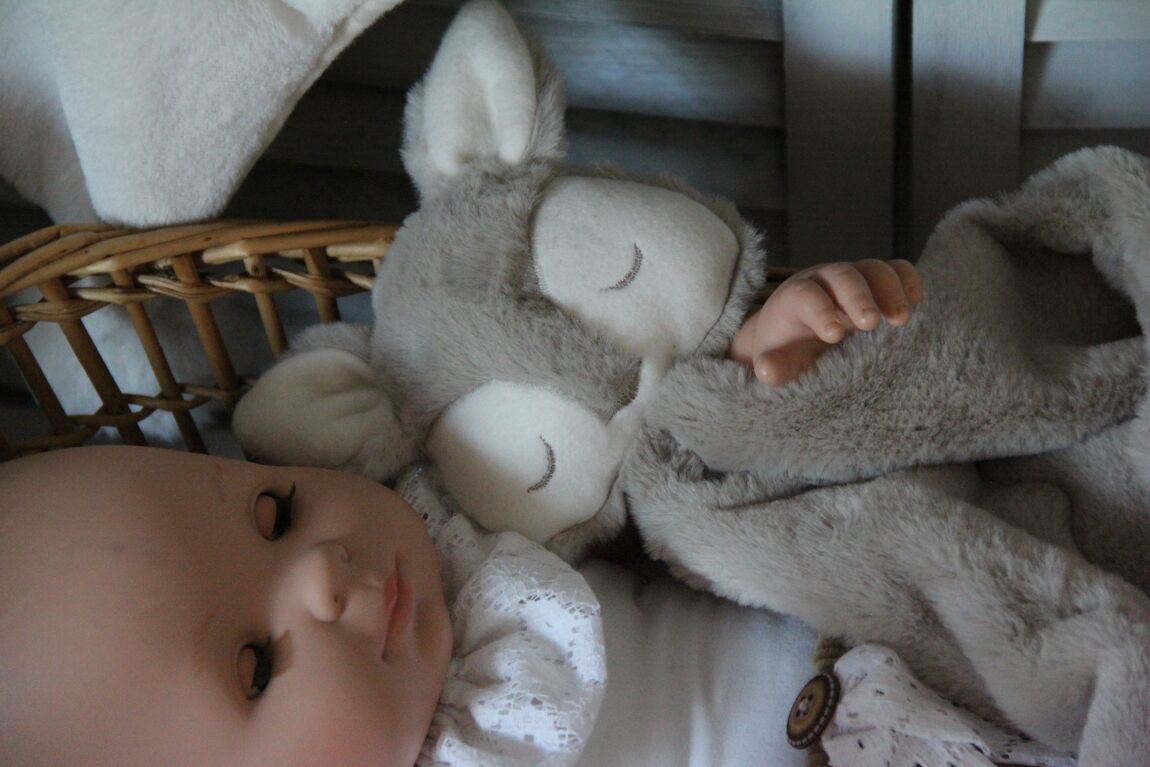Doudou tendresse Renard polaire