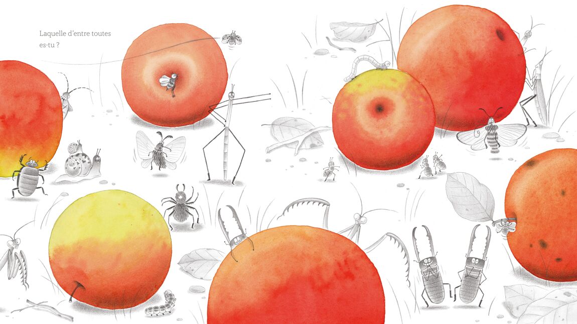 Pomme, ma pomme